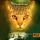 Artikelbild von Warrior Cats - Die Macht der drei. Fluss der Finsternis