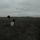 Artikelbild von The Search (2LP)