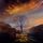 Artikelbild von The Hallowing Of Heirdom