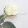 Artikelbild von Heart In Hand: Beautiful White