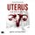 Artikelbild von Uterus