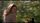 thumbnail-12