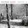 Artikelbild von Descansado Songs For Films