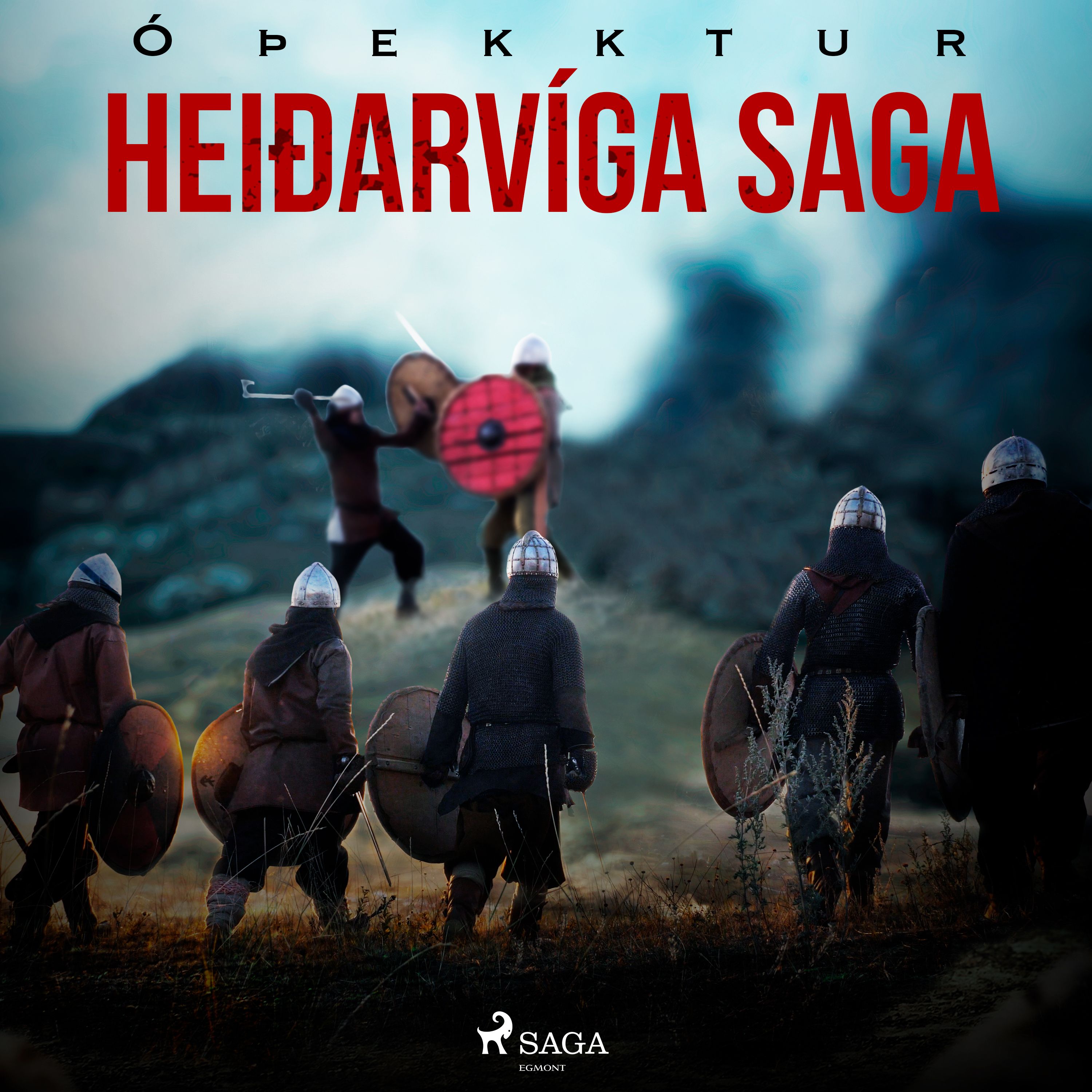 Artikelbild von Hei&eth;arv&iacute;ga saga