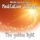 Artikelbild von The Golden Light