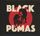 Artikelbild von Black Pumas
