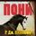 Artikelbild von Pony