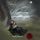 Artikelbild von Wuthering Heights