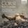Artikelbild von Corsi:Bass Cantatas