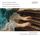 Artikelbild von Johann Sebastian Bach: Harpsichord Concertos Vol.