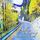 Artikelbild von Rallye in den Tod