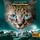 Artikelbild von Warrior Cats - Zeichen der Sterne. Spur des Mondes