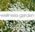 Artikelbild von Various: Wellness Garden