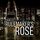 Artikelbild von The Rulemaker's little Rose