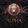 Artikelbild von New York Alpha (Part 13)