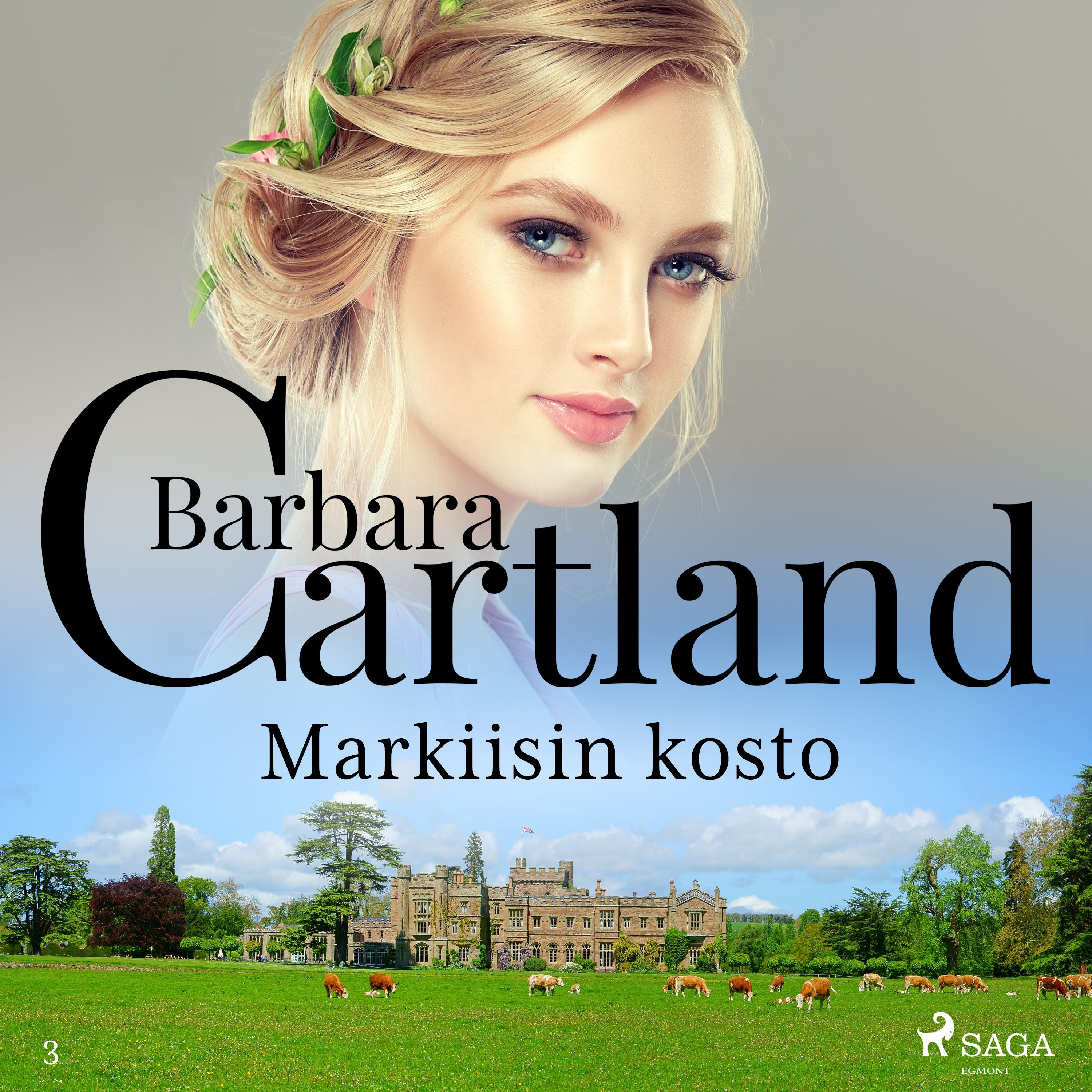 Artikelbild von Markiisin kosto