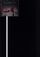 Artikelbild von To The Top