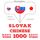 Artikelbild von Slovensk&yacute; - Č&iacute;ňan: 1000 z&aacute;kladn&yacute;ch slov