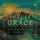 Artikelbild von Future Grace