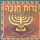 Artikelbild von נרות חנוכה