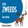 Artikelbild von Leer Zweeds (taalcursus voor beginners)