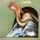 Artikelbild von Camel: Camel