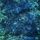 Artikelbild von Luminescent Creatures