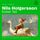 Artikelbild von Nils Holgersson (Erster Teil)