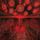 Artikelbild von In the Eye of Nothing