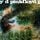 Artikelbild von A Saucerful of Secrets