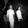 Artikelbild von Return To The Moon
