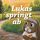 Artikelbild von Lukas springt ab
