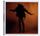 Artikelbild von Everything You've Come to Expect