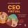 Artikelbild von CEO virtual