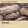 Artikelbild von Bread