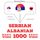 Artikelbild von 1000 essential words in Albanian