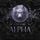 Artikelbild von New York Alpha (Part 4)