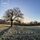 Artikelbild von Winter Light - Chorwerke