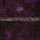 Artikelbild von Magnification