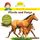Artikelbild von Pixi Wissen: Pferde und Ponys