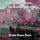 Artikelbild von The Adventure of the Solitary Cyclist