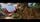 thumbnail-13