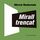 Artikelbild von Mirall trencat