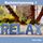 Artikelbild von Muskelentspannung .1 - Relax