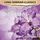 Artikelbild von Long-Seminar-Classics - Ultimatives Intuitions-Training