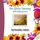 Artikelbild von Das Lifeness Harmony Selbsthilfeprogramm: Spirituelles Leben