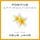 Artikelbild von Positive Affirmationen & Meditationen