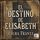 Artikelbild von El destino de Elisabeth