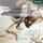 Artikelbild von Transformed-Musik F.Asiatische U.Westl.Instrumente