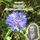 Artikelbild von Novalis